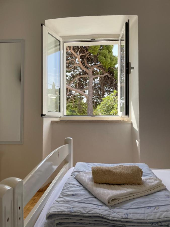 Tree Lägenhet Dubrovnik Exteriör bild